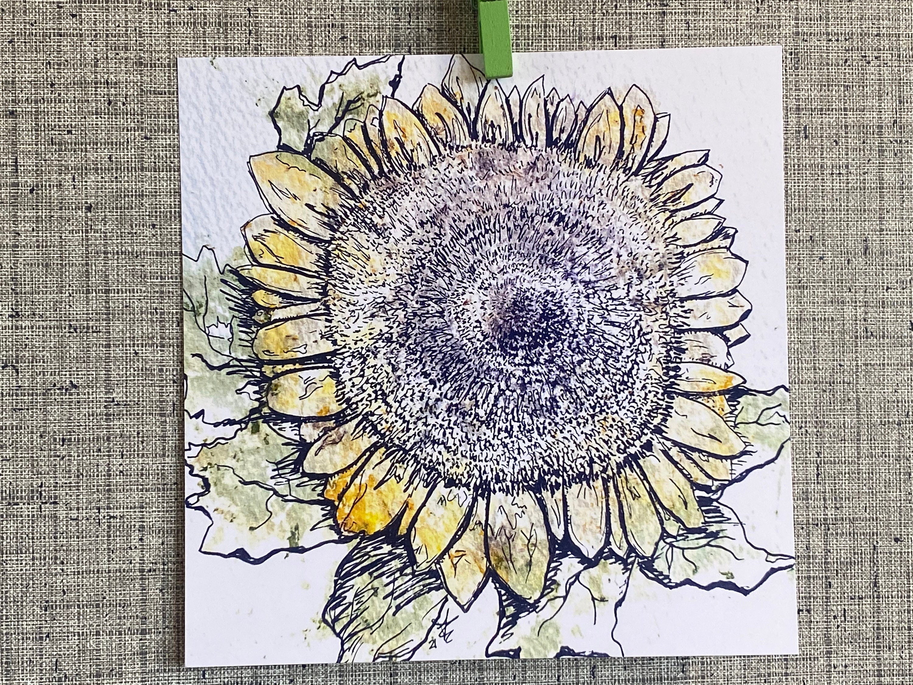 Hammered Sunflower Sketch Art Print